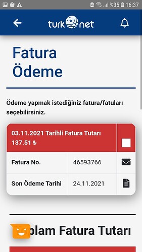 Screenshot_20211106-163756_TurkNet