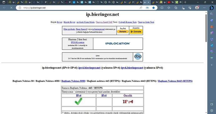 ip.bieringer.net - IP Adresi Bilgileri Test Sayfası ve diğer 21 sayfa - Profil 1 - Microsoft​ Edge 22.07.2023 14_10_45