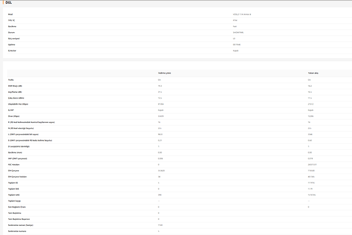 dsl istatistik