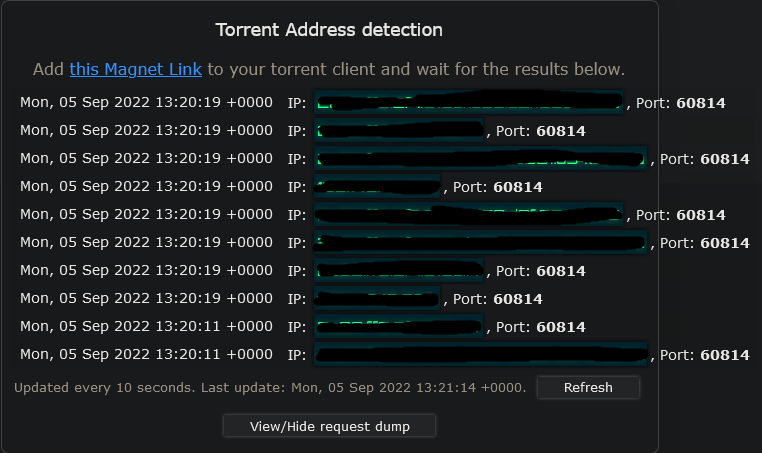 Screenshot 2022-09-05 at 16-21-15 IP_DNS Detect